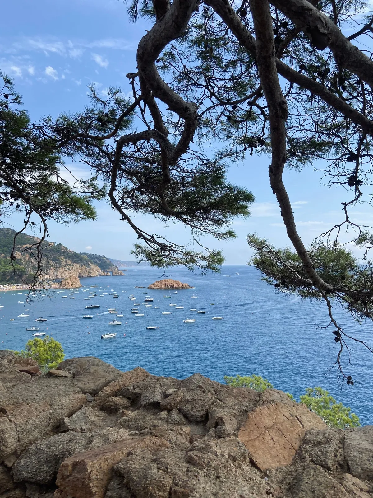 Costa Brava · La Selva
